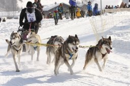 Lenk 2012 SM